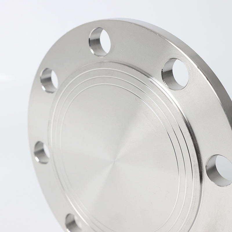 EN 1092-1 05B DN15 PN25 SS304 Слепые фланцевые трубопроводы