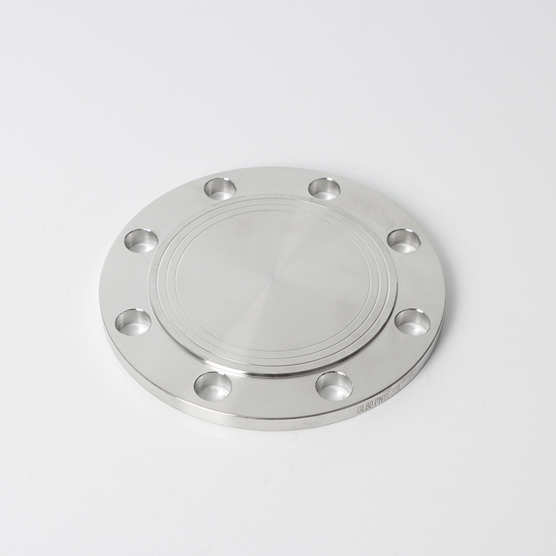 EN 1092-1 05B DN25 PN25 SS Слепой фланец