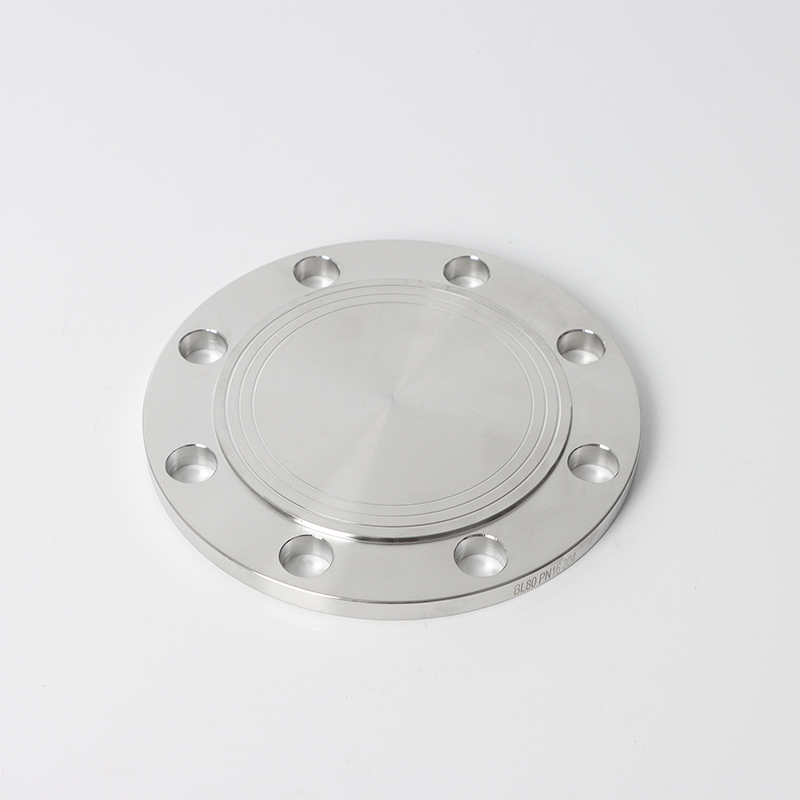 EN 1092-1 05B DN15 PN25 SS304 Слепые фланцевые трубопроводы